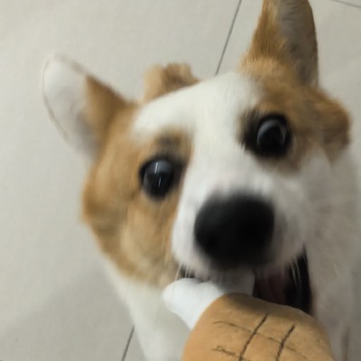 商家头像