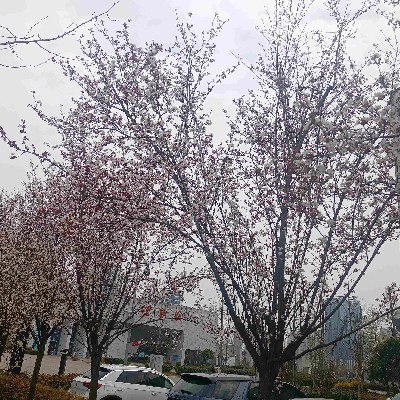商家头像