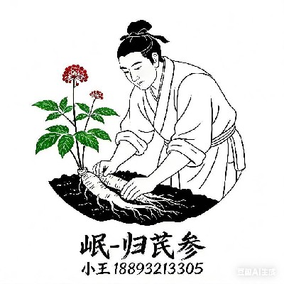 商家头像