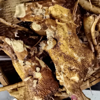 商家头像