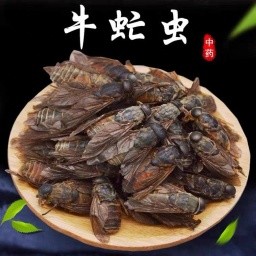 商家头像
