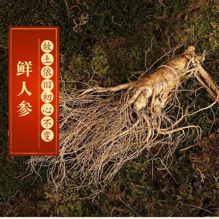 商家头像