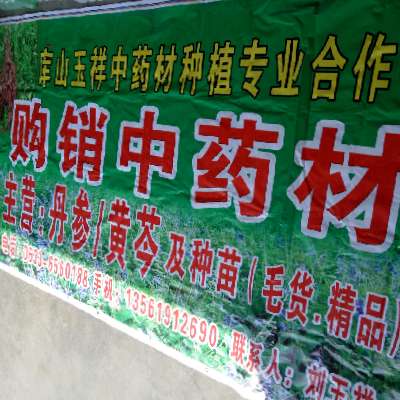 商家头像