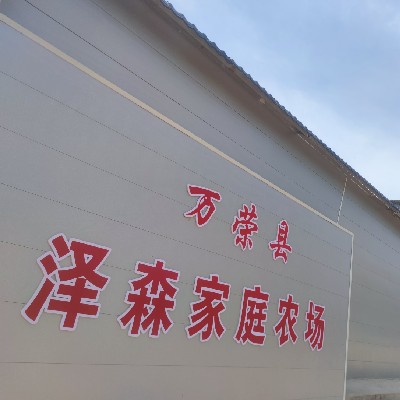 商家头像
