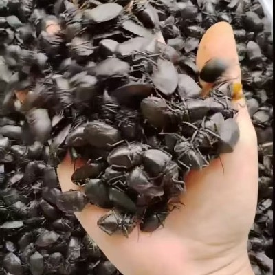 商家头像