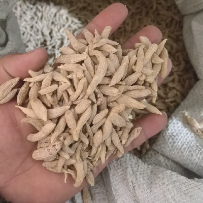 商家头像