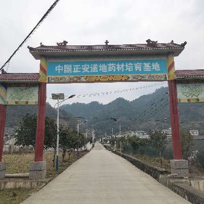商家头像