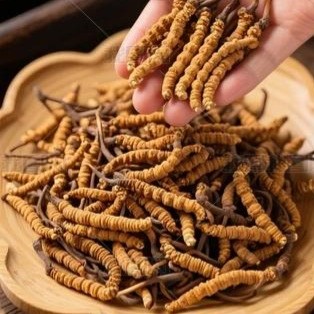 商家头像