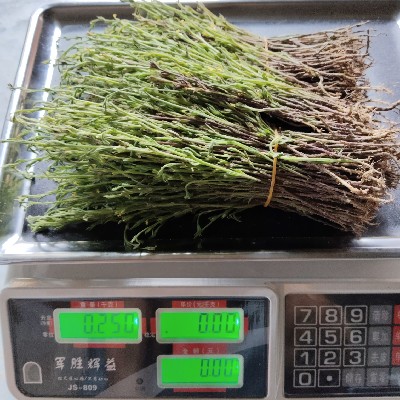 商家头像