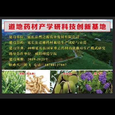 商家头像