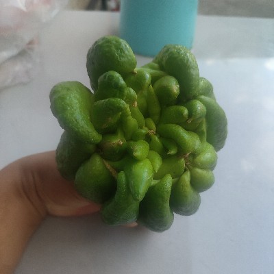 商家头像