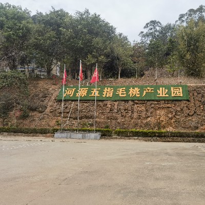 商家头像