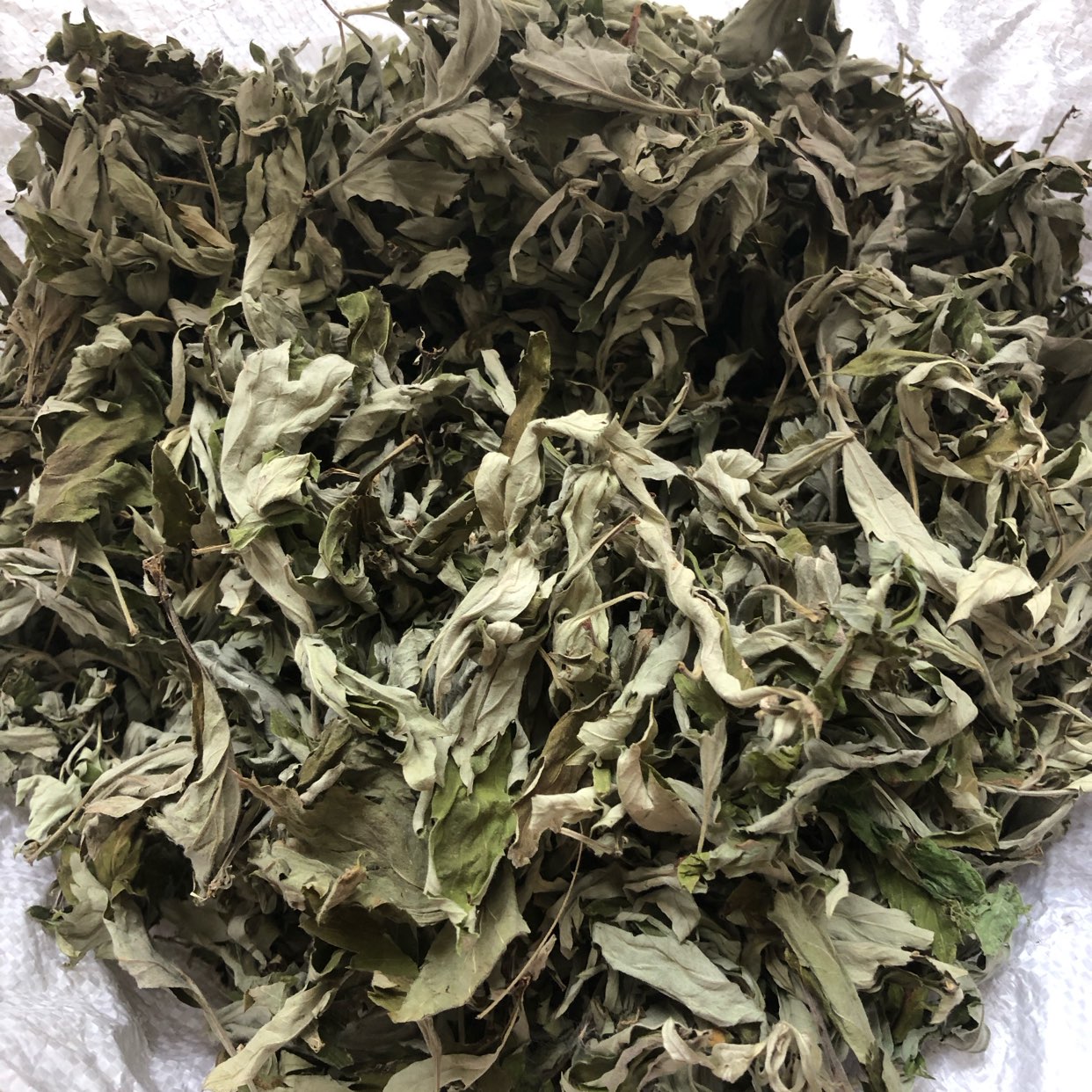 商家头像