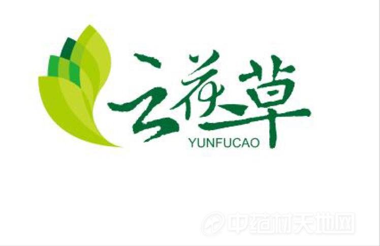 商家头像