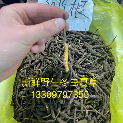 商家头像