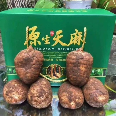 商家头像