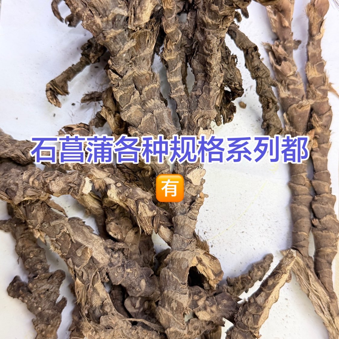 商家头像