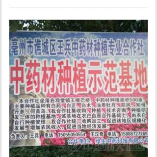 商家头像