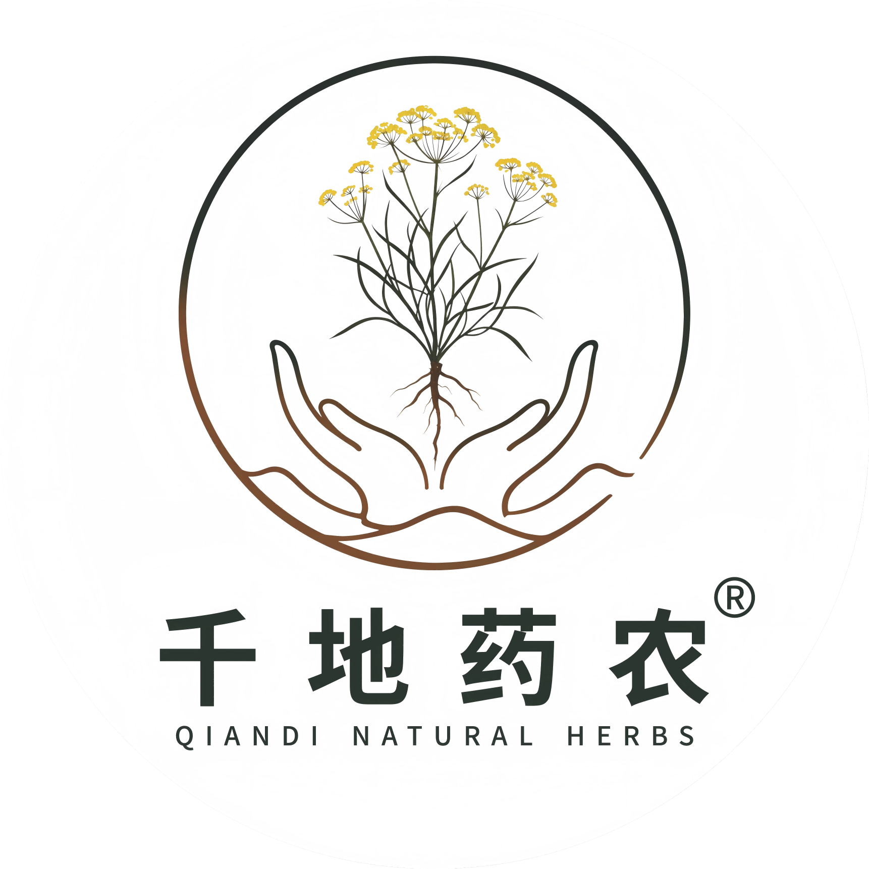 商家头像