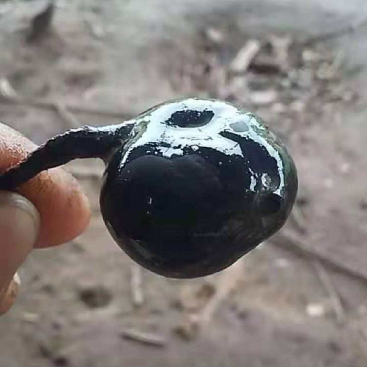 商家头像