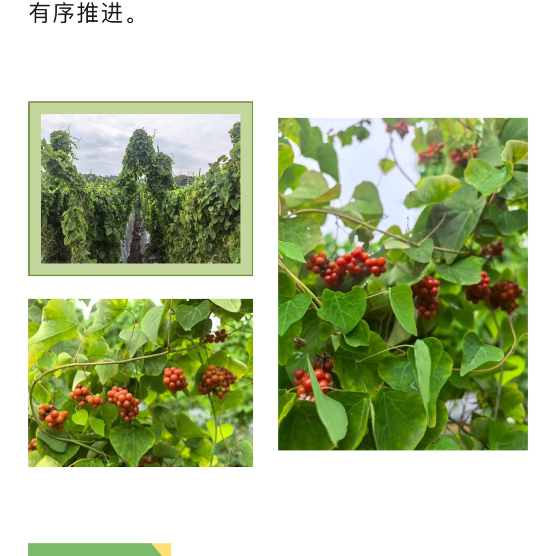 商家头像