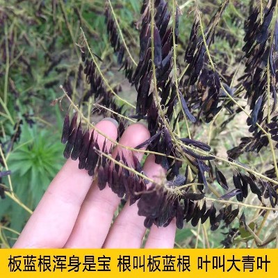 商家头像