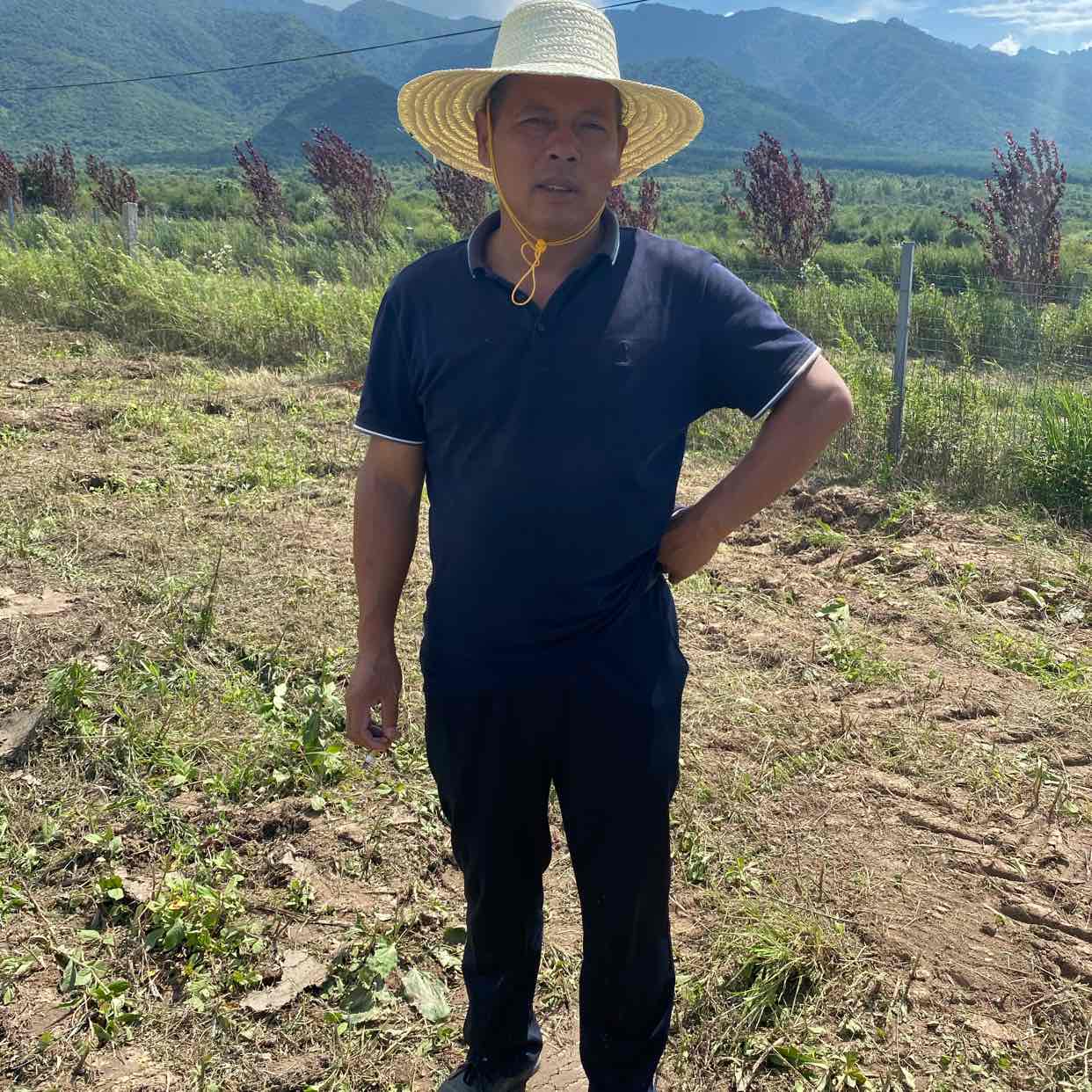 用户头像