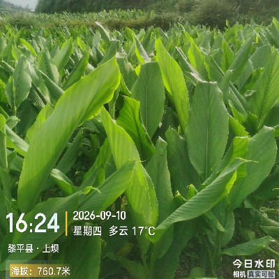 商家头像
