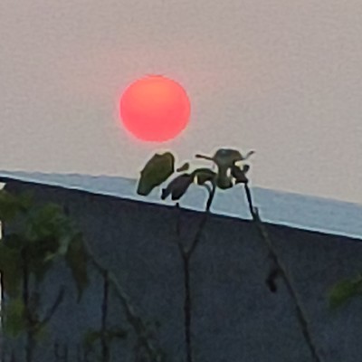 商家头像