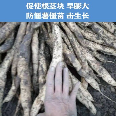 商家头像