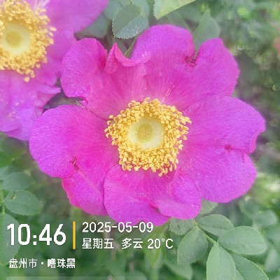 商家头像