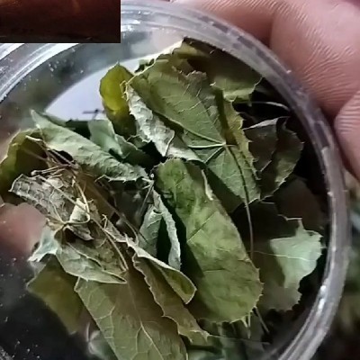 商家头像