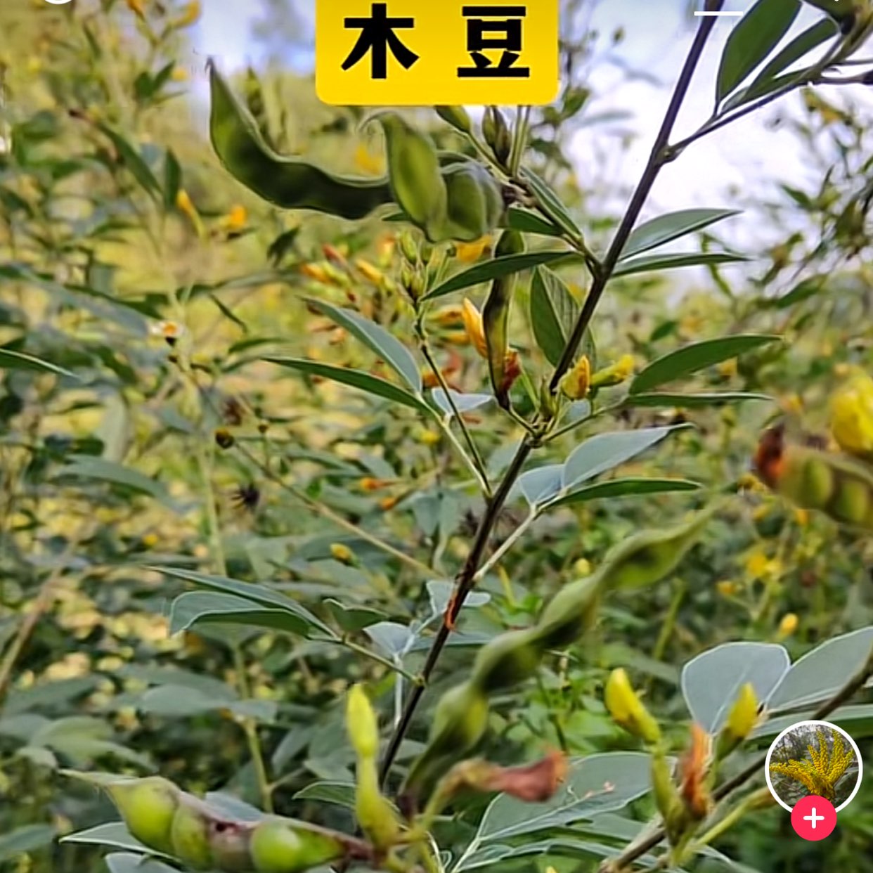 商家头像