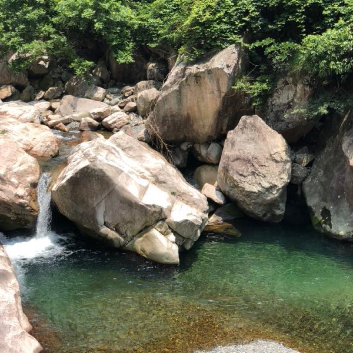 商家头像