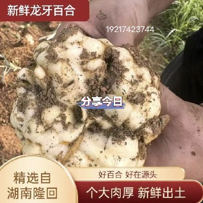 商家头像