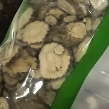 商家头像
