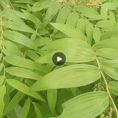 商家头像
