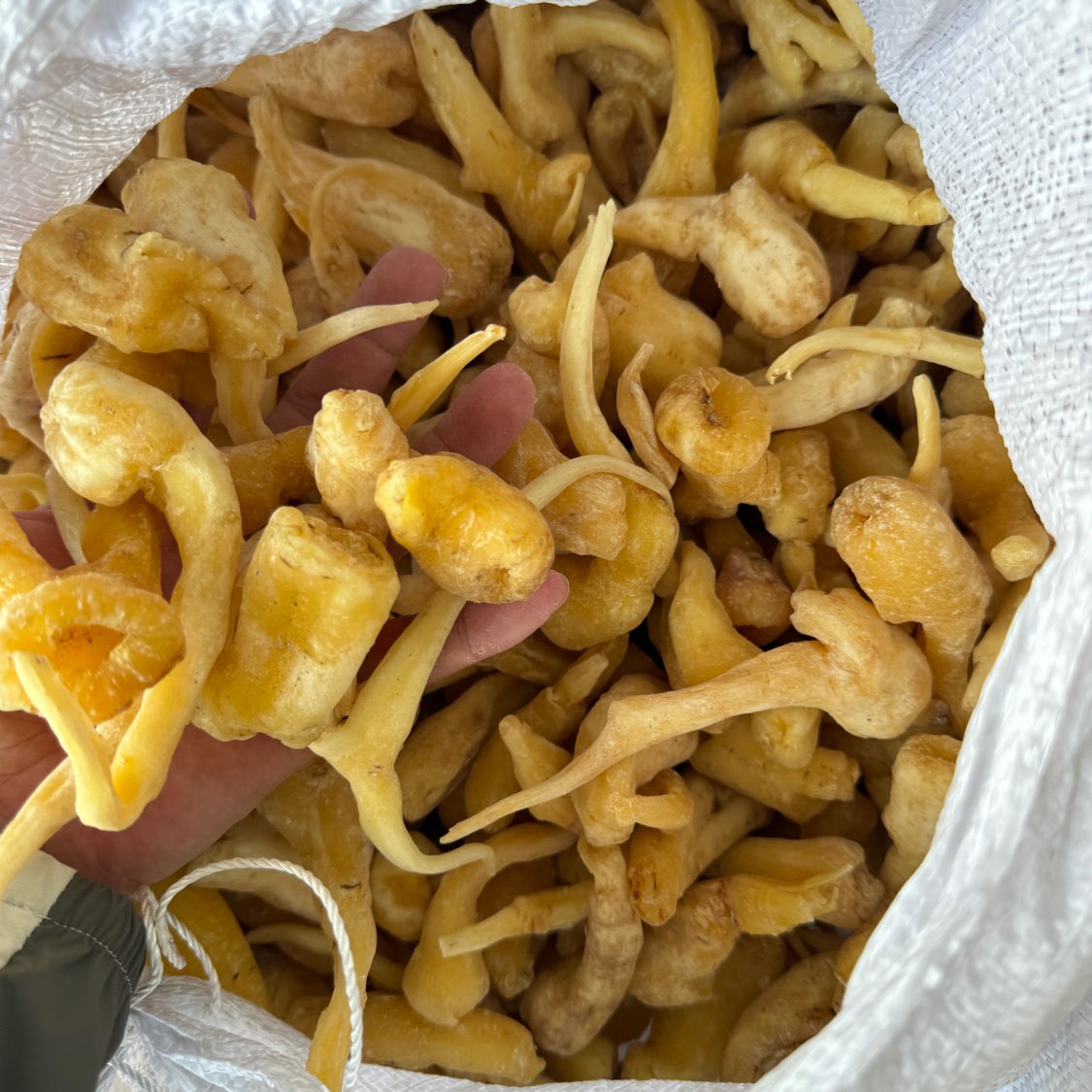 商家头像
