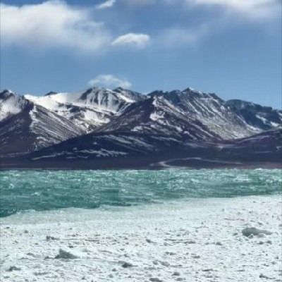 商家头像