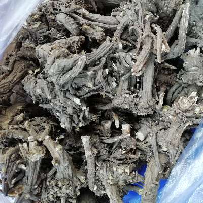 商家头像