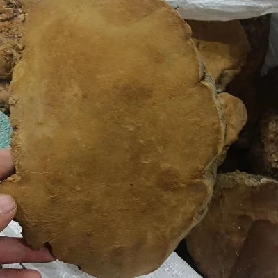 商家头像