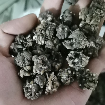 商家头像
