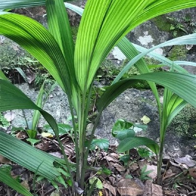 商家头像