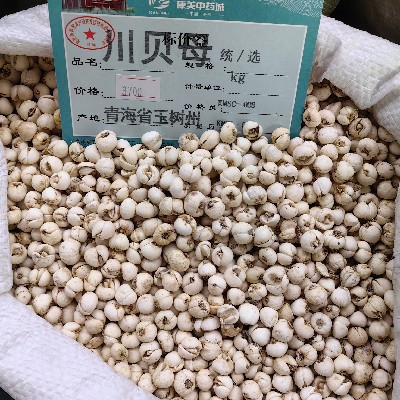 商家头像