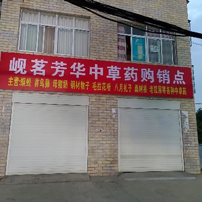 商家头像