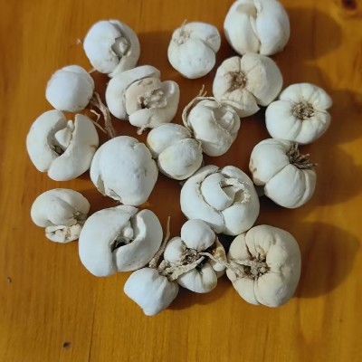 商家头像