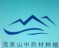 商家头像