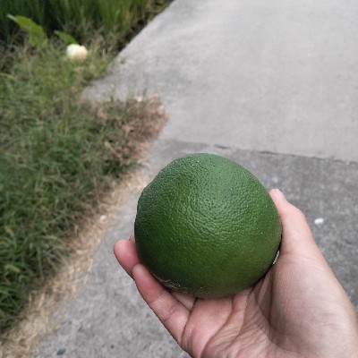 商家头像