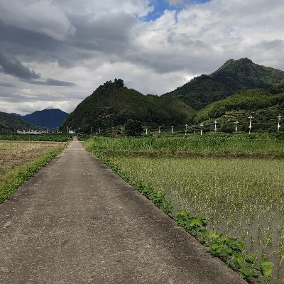 商家头像