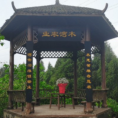 商家头像